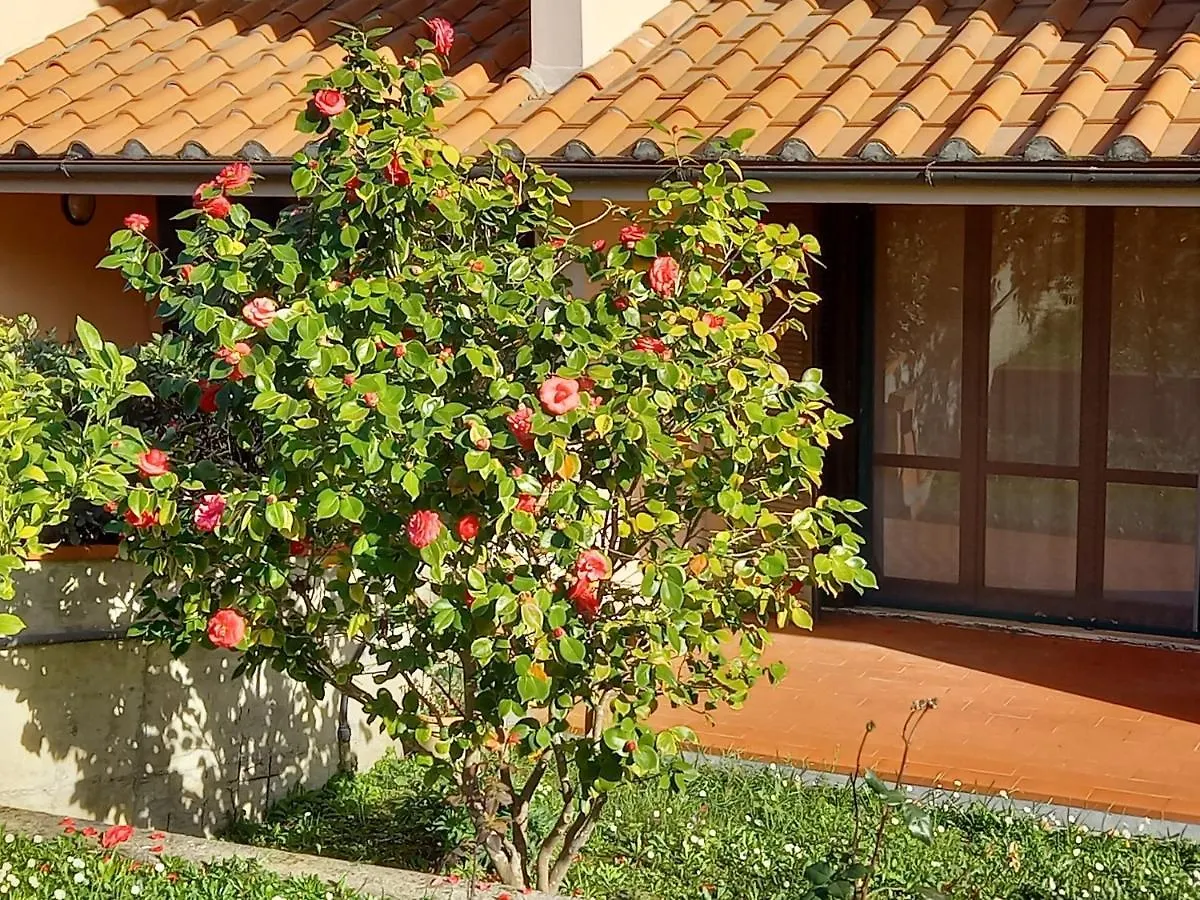 Casa Letizia Villetta In Toscana Fauglia 0*,  Italy